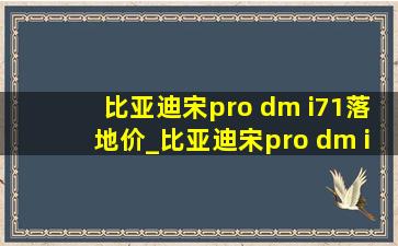 比亚迪宋pro dm i71落地价_比亚迪宋pro dm i71(低价烟批发网)型